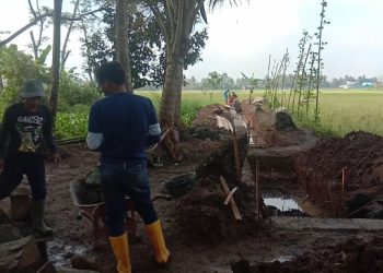 P3A Mitra Cai Tirta Wangi Berdayakan Petani Melalui P3TGAI