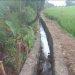 P3TGAI Desa Sanding Taman Ciamis, Maksimalkan Pasokan Air Untuk Puluhan Hektar Sawah