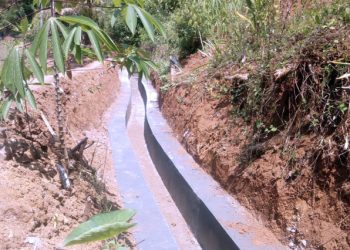 P3TGAI 2023 Selesai Dikerjakan, Petani Mulai Rasakan Manfaatnya