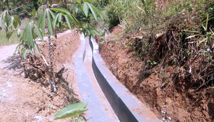 P3TGAI 2023 Selesai Dikerjakan, Petani Mulai Rasakan Manfaatnya
