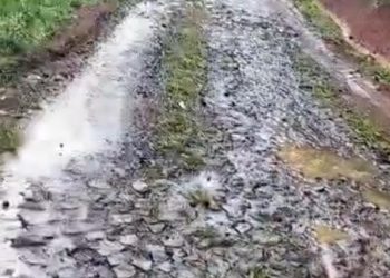 Jalan Cirengrak Cipatujah Rusak Berat, Warga Nagrog Desak Pemkab Untuk Perbaikan