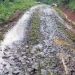 Jalan Cirengrak Cipatujah Rusak Berat, Warga Nagrog Desak Pemkab Untuk Perbaikan