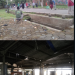 Suasana Sore di Dadaha: Warga Padati Jogging Track, Harapkan Tata Kelola Lebih Rapi dan Terang