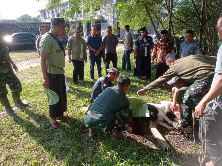 Semangat Berbagi di Hari Raya, Kodim 0625/Pangandaran Laksanakan Kurban