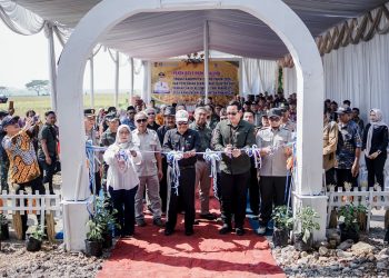 Panen Padi Organik dan Peresmian Sekretariat Klaster Padi Pamarican Tandai Penguatan Pertanian Berkelanjutan di Ciamis