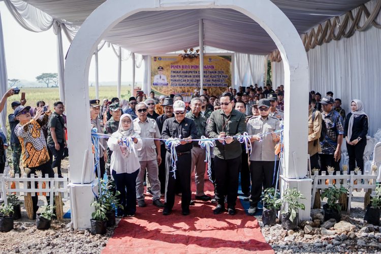 Panen Padi Organik dan Peresmian Sekretariat Klaster Padi Pamarican Tandai Penguatan Pertanian Berkelanjutan di Ciamis