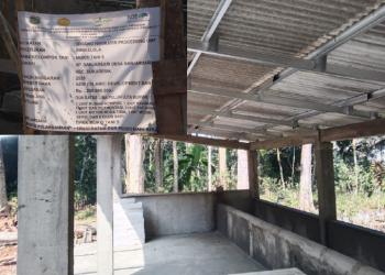 Padi Organik di Tasikmalaya Makin Berkembang, Poktan Mukti Tani 5 Terima Bantuan UPPO Rp250 Juta